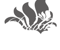Drums Music Club
